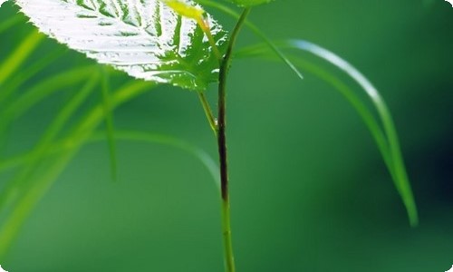 关于小学写人作文400字锦集八篇