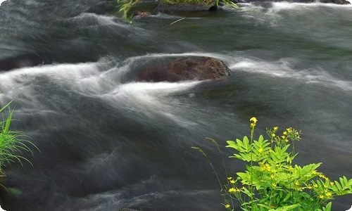 马斯克怒怼苹果抽成比应有的高了10倍