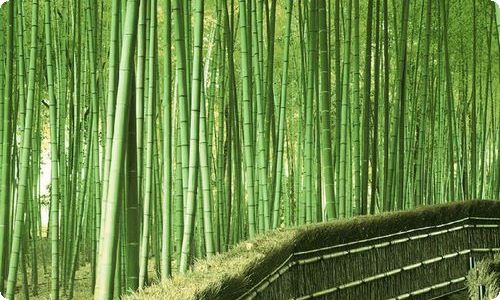 一年级语文教师工作总结范本(全文共6892字)