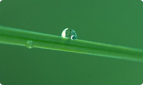 雨雪冰冻天气应急预案