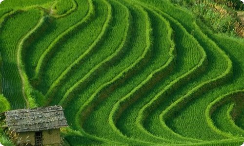 【热门】春节日记范文六篇