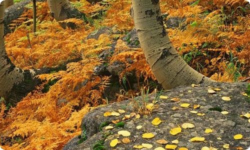 什么时候断奶比较合适季节