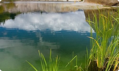 梦见水泵抽水