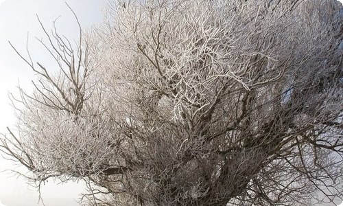 《鲁滨逊漂流记》读后感及感悟（多篇）[此文共3586字]