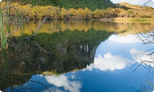 【推荐】一分钟自我介绍模板集锦四篇