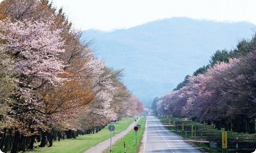 全国注册监理工程师报考条件