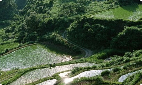 门面转让合同