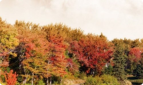 双城市2011年第三批农村饮水安全工程1-23标段施工投标邀请书[本文共684字]