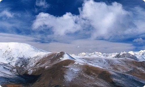 金牛座学什么好