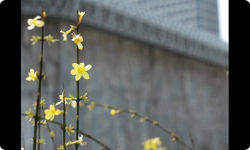 工厂实习心得体会五篇