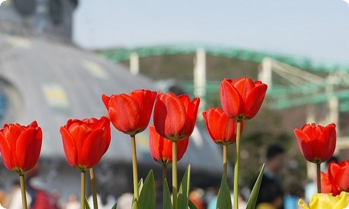 你知道怎样奉承老板吗