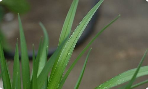 【推荐】中学生日记模板集合七篇