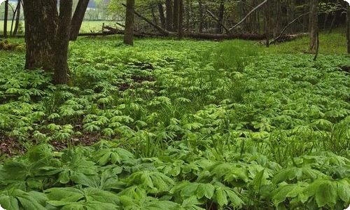 给学校感谢信范文汇总7篇