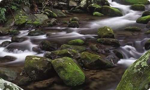 《成绩单》读后感15篇