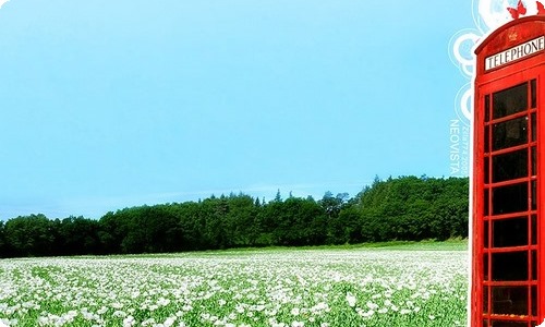 教师网络培训学习总结