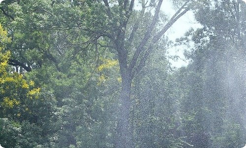 关于谷雨的谚语