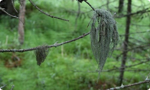 万圣节活动总结集锦15篇