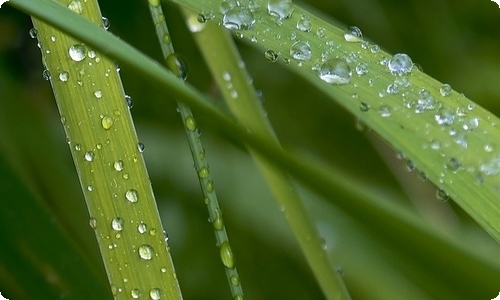 【推荐】租房合同范文汇编8篇