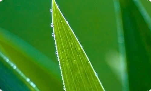 写难忘元宵节的作文3篇