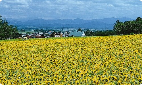 风雨同舟造句 优选50句[此文共1775字]