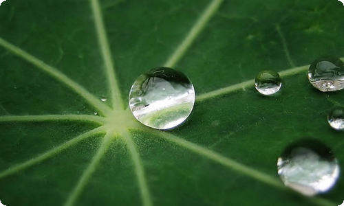 小班美术教学计划