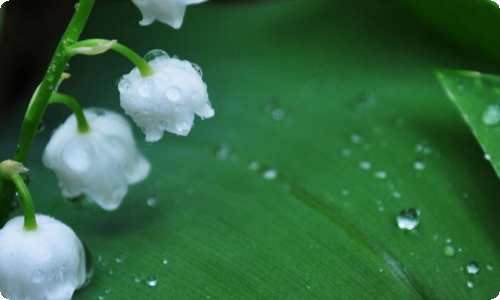 自体脂肪移植丰胸有什么后遗症吗