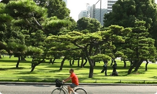 家庭居室装饰装修工程施工合同(集合15篇)